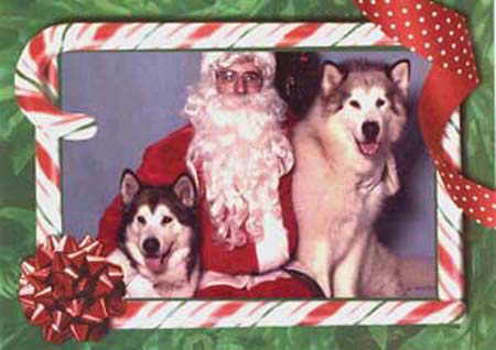 Xmas 1999