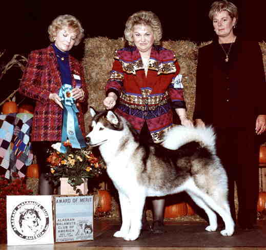 Award Of Merit