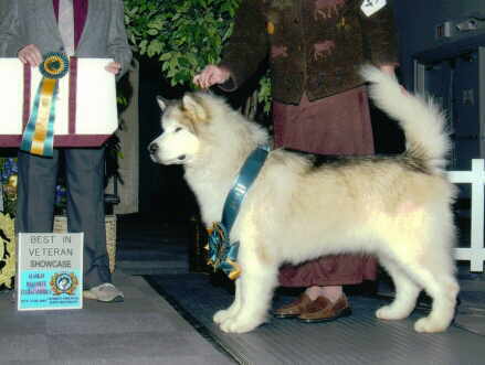 Dylan - National 2003